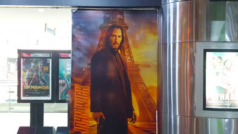 I Chased My Wildest Dreams for 50 Days: This is What I Learned