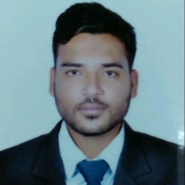 Blog Writer in India